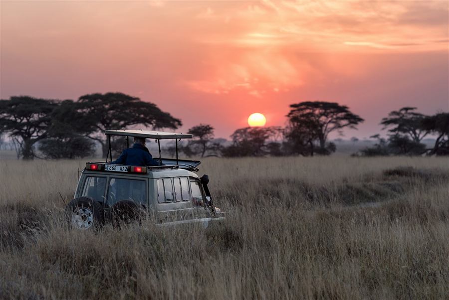 Safari vehicle parked in golden savannah grass at sunset
