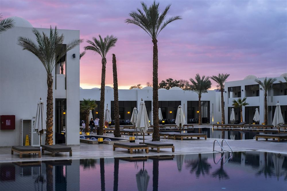 Resort pool framed by tall palm trees at dusk